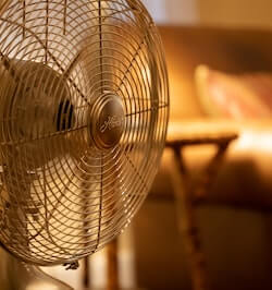 new-photo-1601084195907-44baaa49dabd _1_